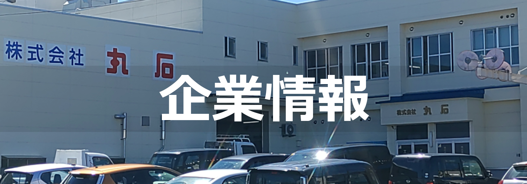 企業情報